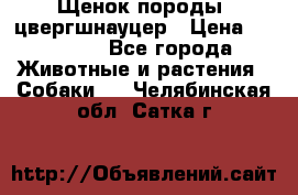 Щенок породы  цвергшнауцер › Цена ­ 30 000 - Все города Животные и растения » Собаки   . Челябинская обл.,Сатка г.